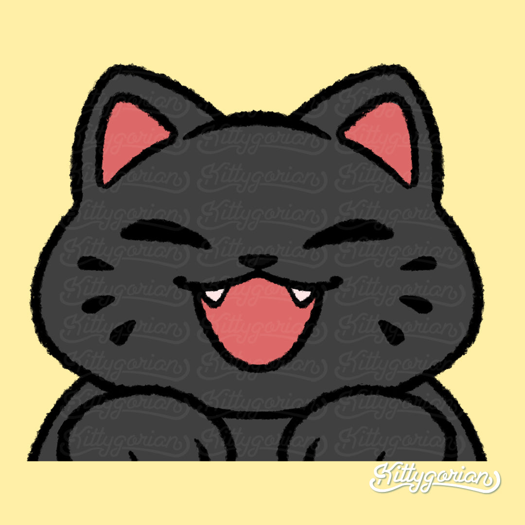 Black Cat decal